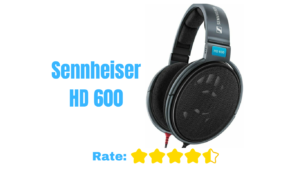 Read more about the article The Sennheiser HD 600 Review